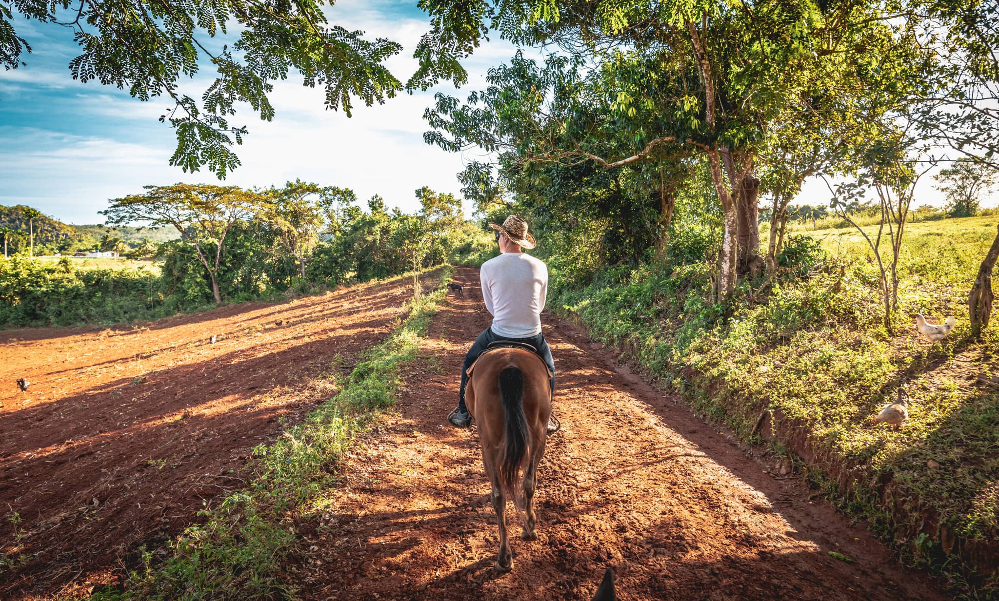Cuba Insider gallery Gallery Cuba Vinales Horsebackriding GettyImages 1078495112