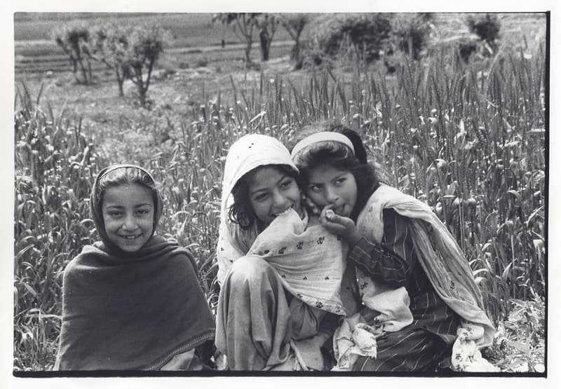 800x535 pakistan revise 3