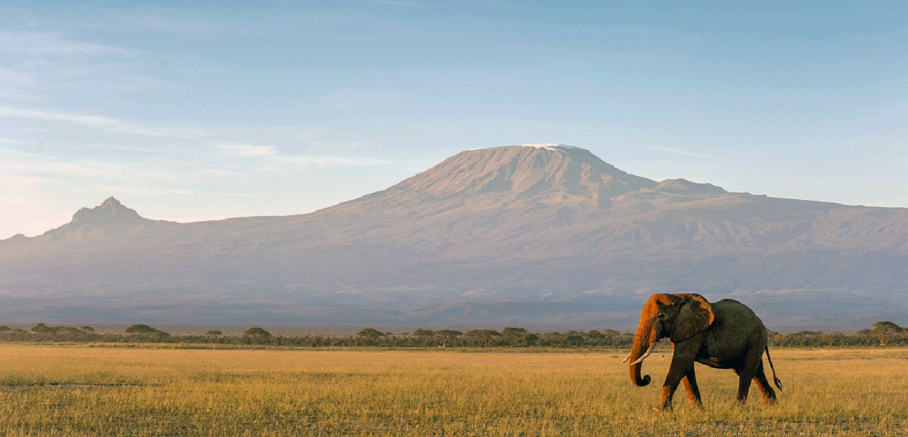 Africa Kenya Mount Kilimanjaro at dawn DanitaDelimont RM AF21 JAR0638 1323x637