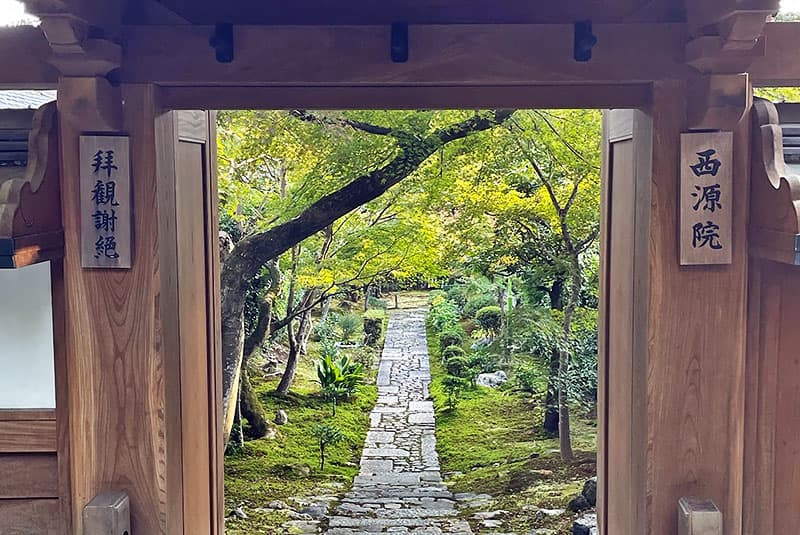 Japan Don George 800x535 IMG 7512