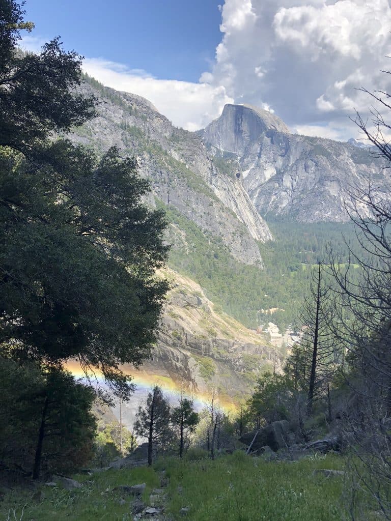 Yosemite 768x1024