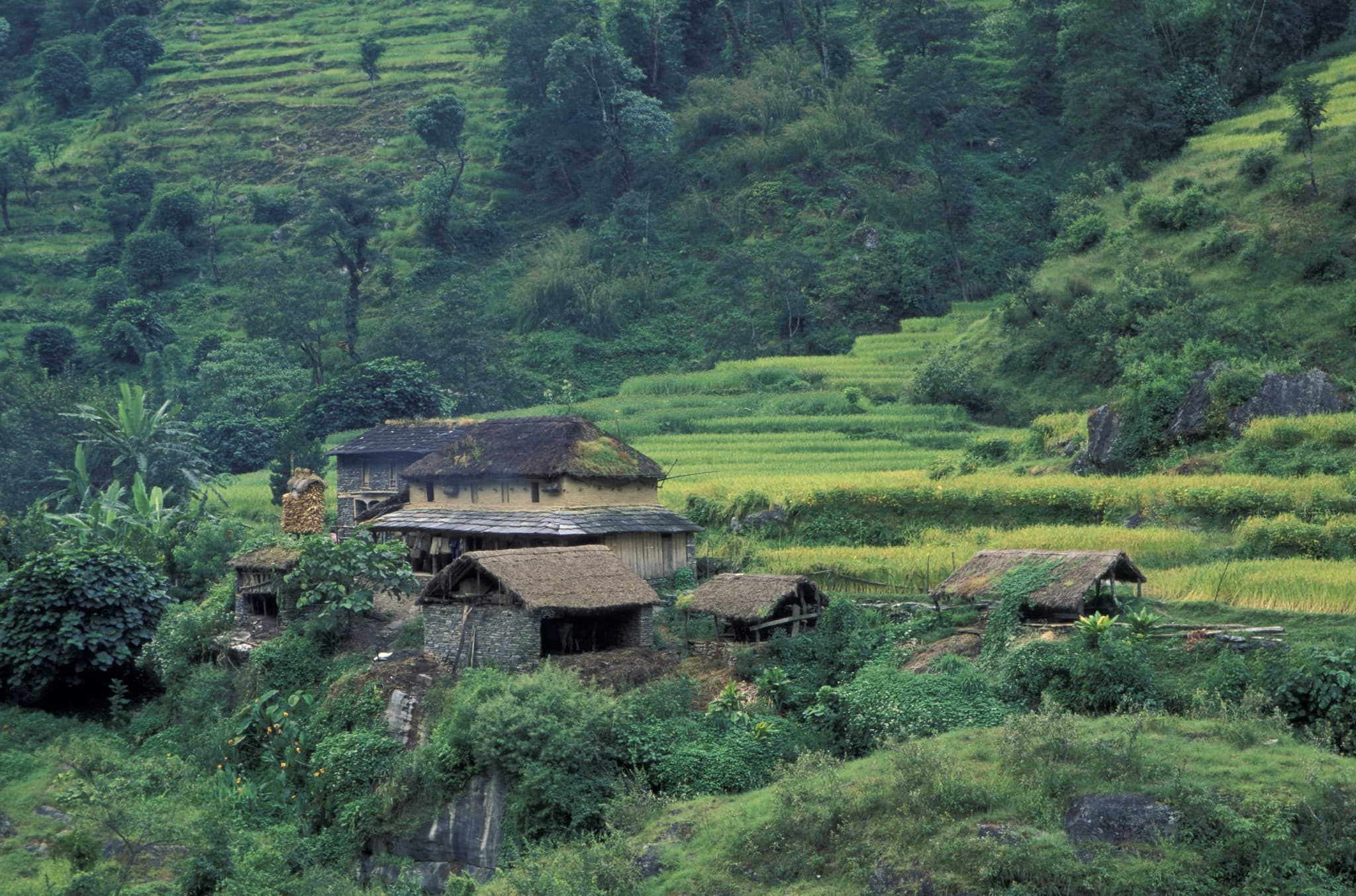 abominable trekker scaled