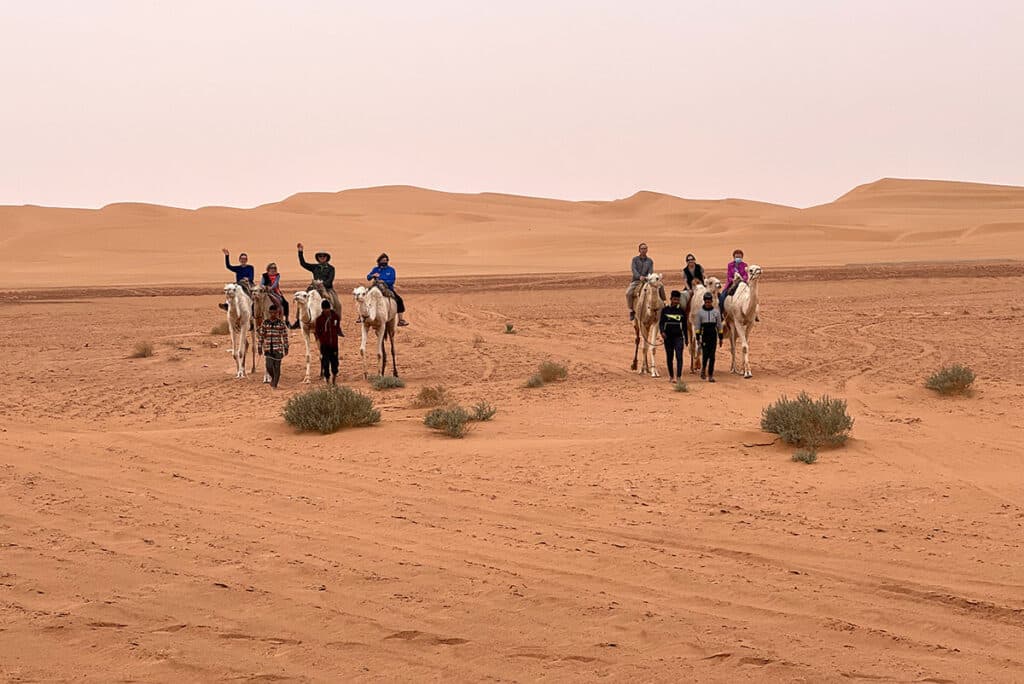 algeria sahara riding camels 1024x684