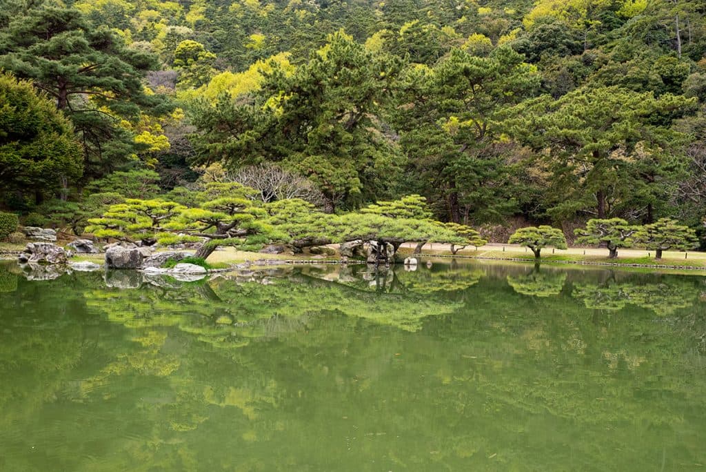 edit L1070150 1024x684