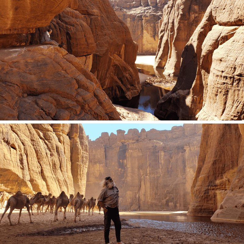 guelta above quelta below king