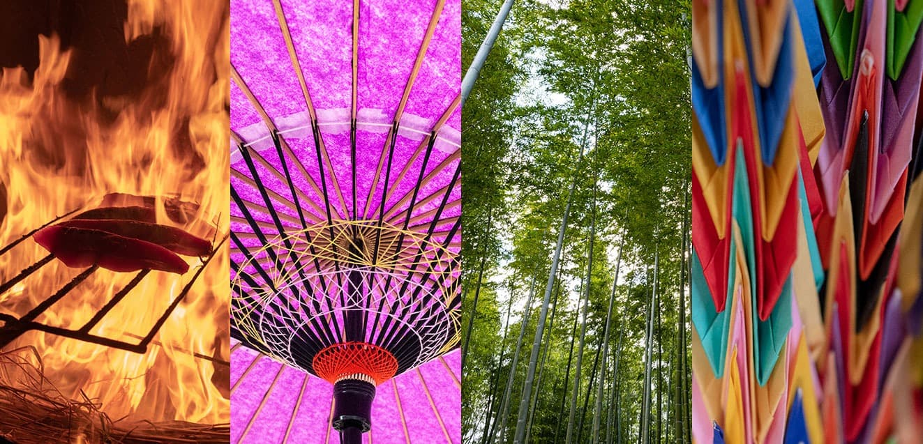 main japan christy hedges 1