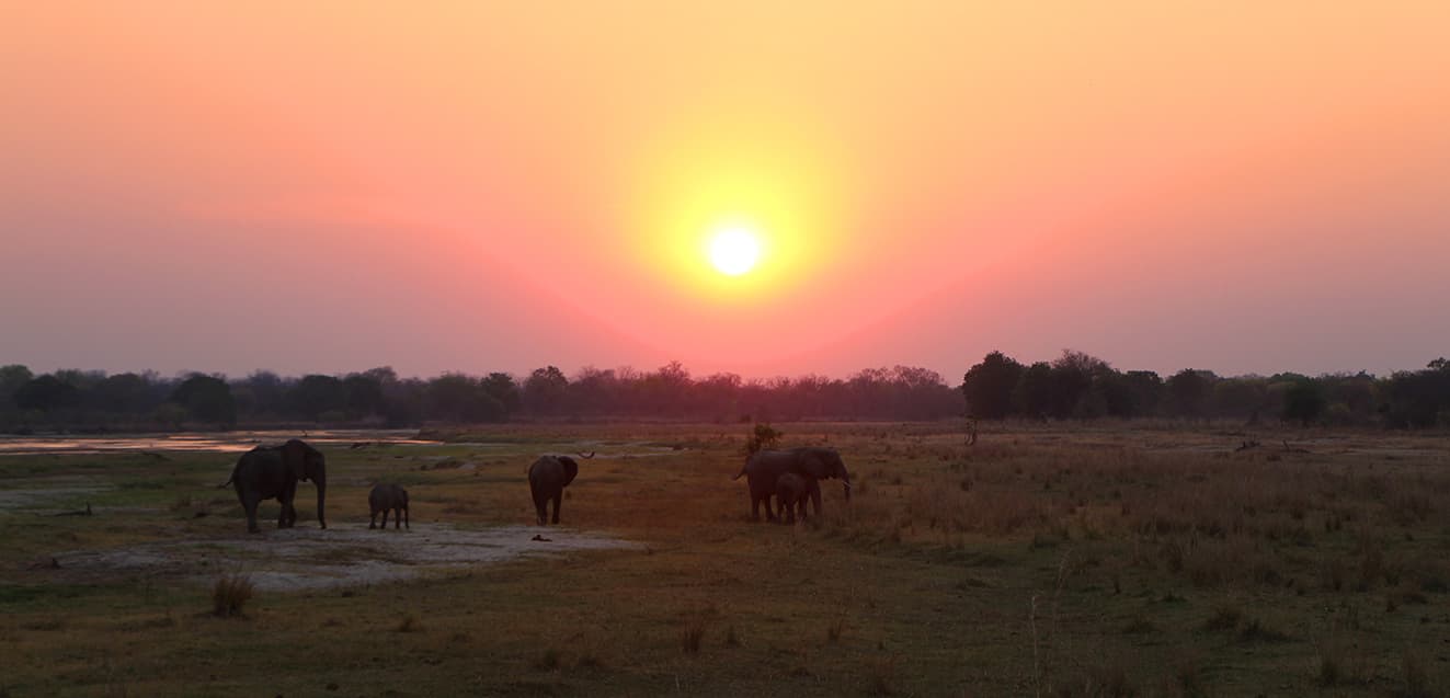 main zambia safari south luangwa sunset