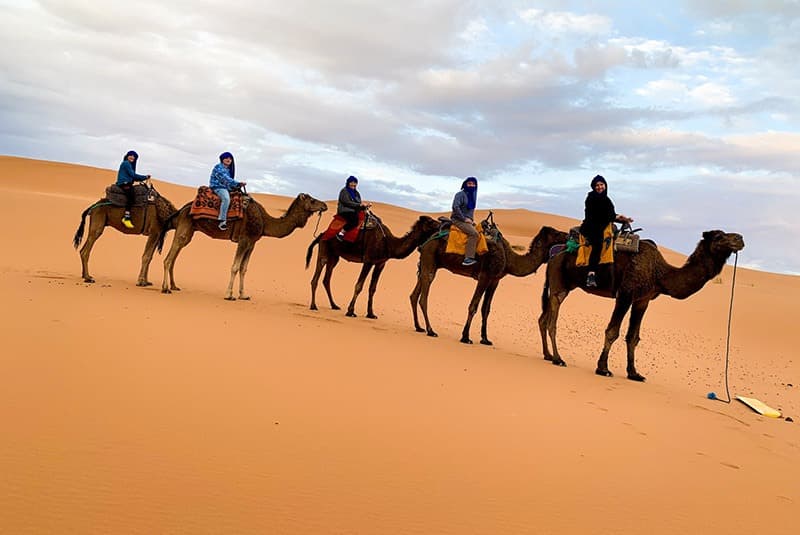 morocco dunes camels family