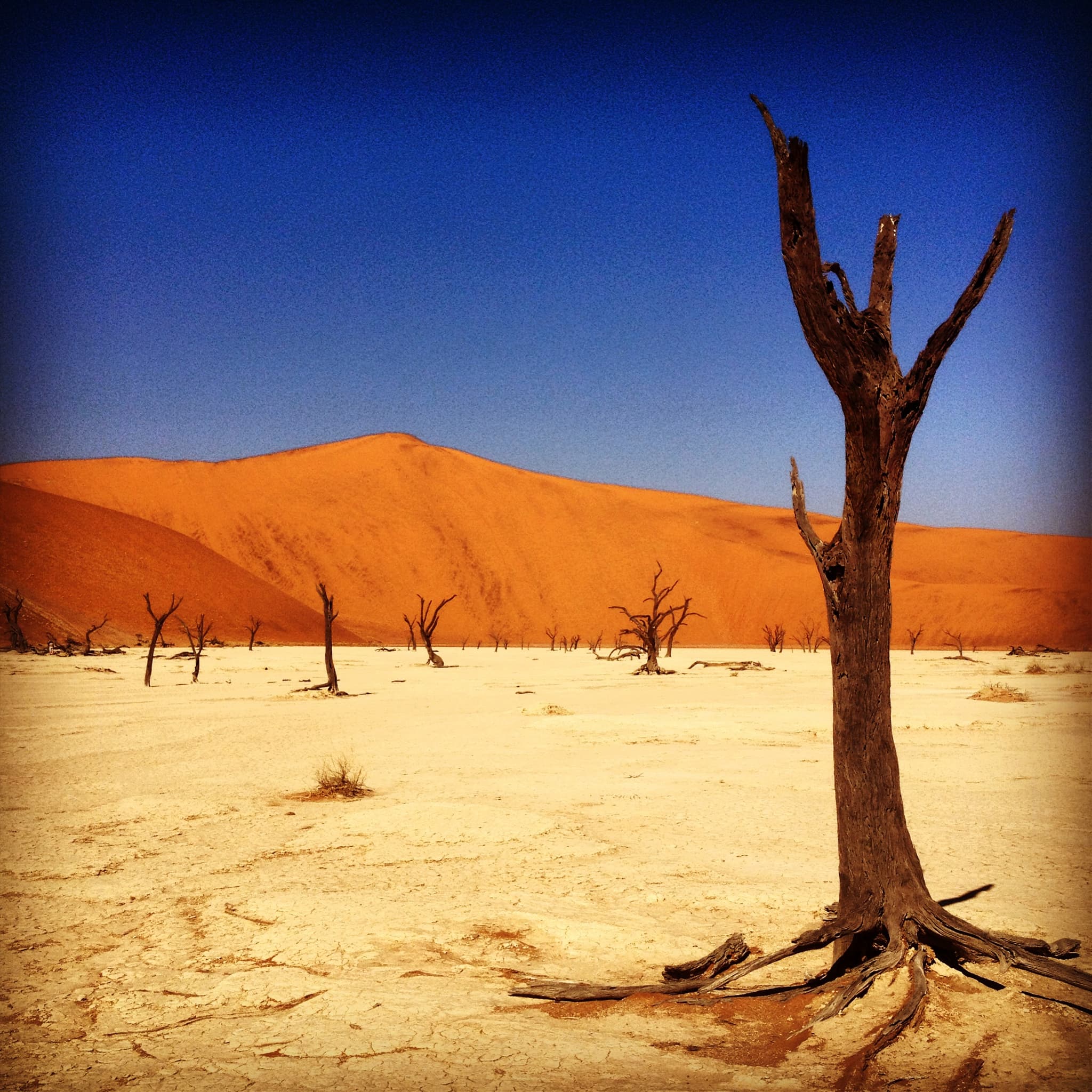namibian highlights deadvlei