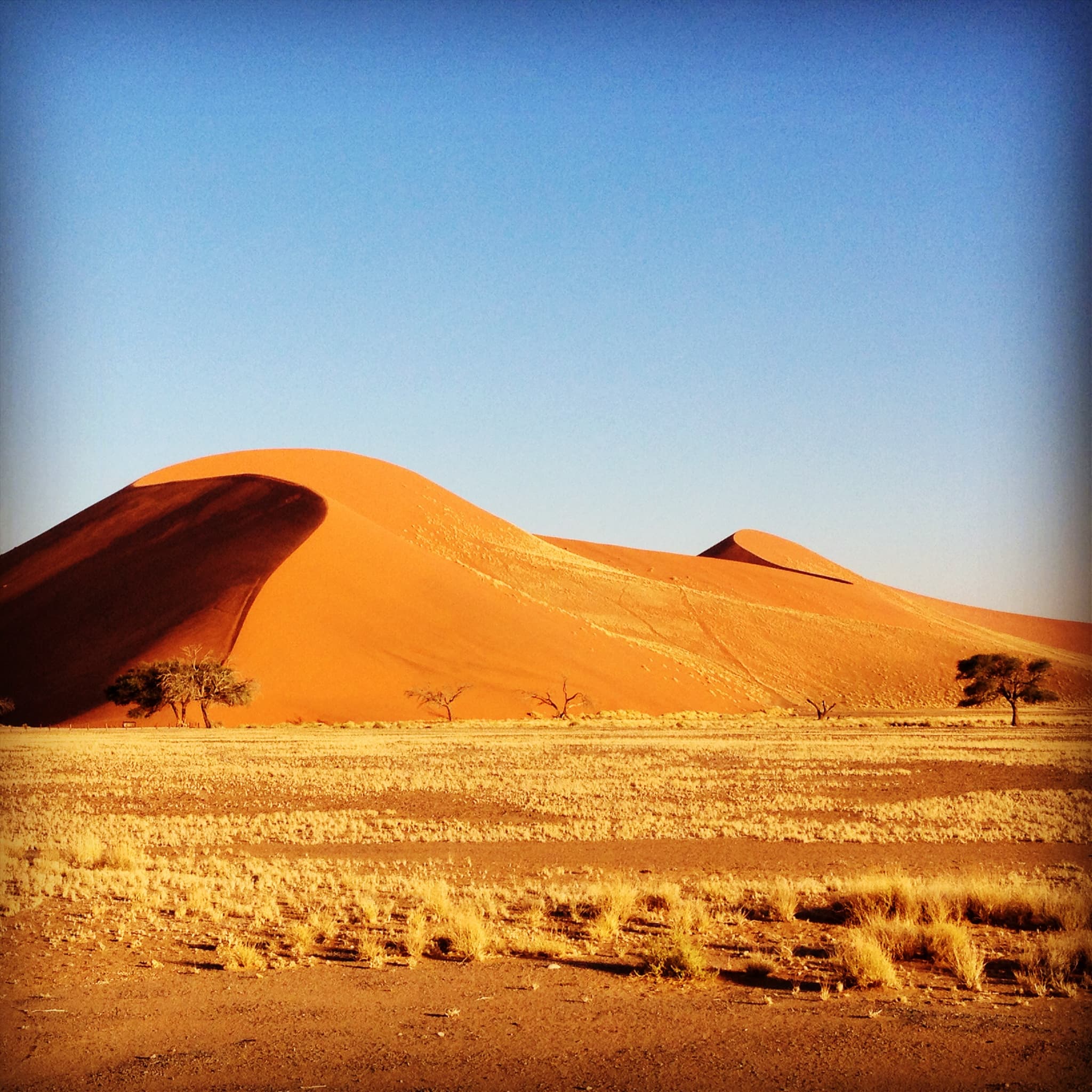 namibian highlights sossusvlei