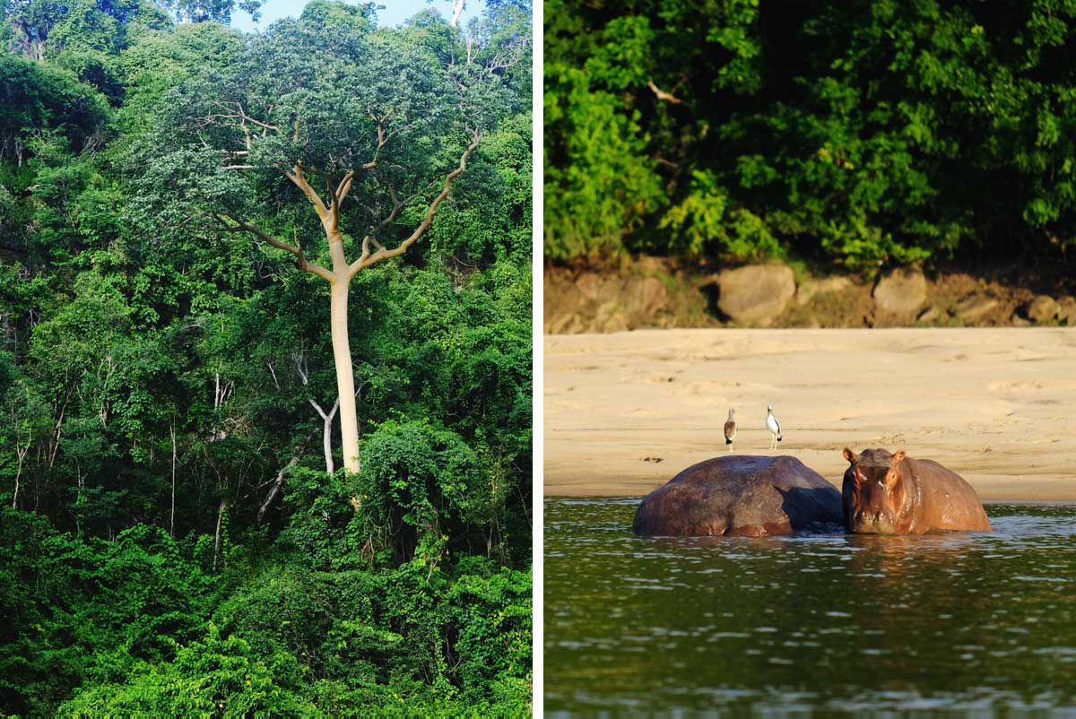 selous rufiji river 1200x802