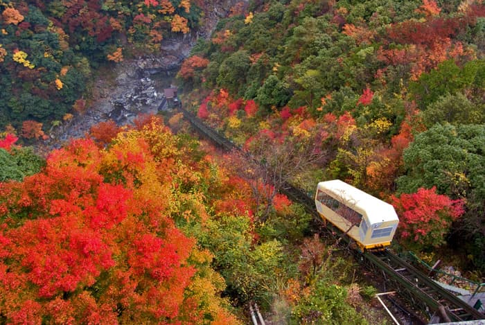 shikoku autumn splendors cablecar geoex