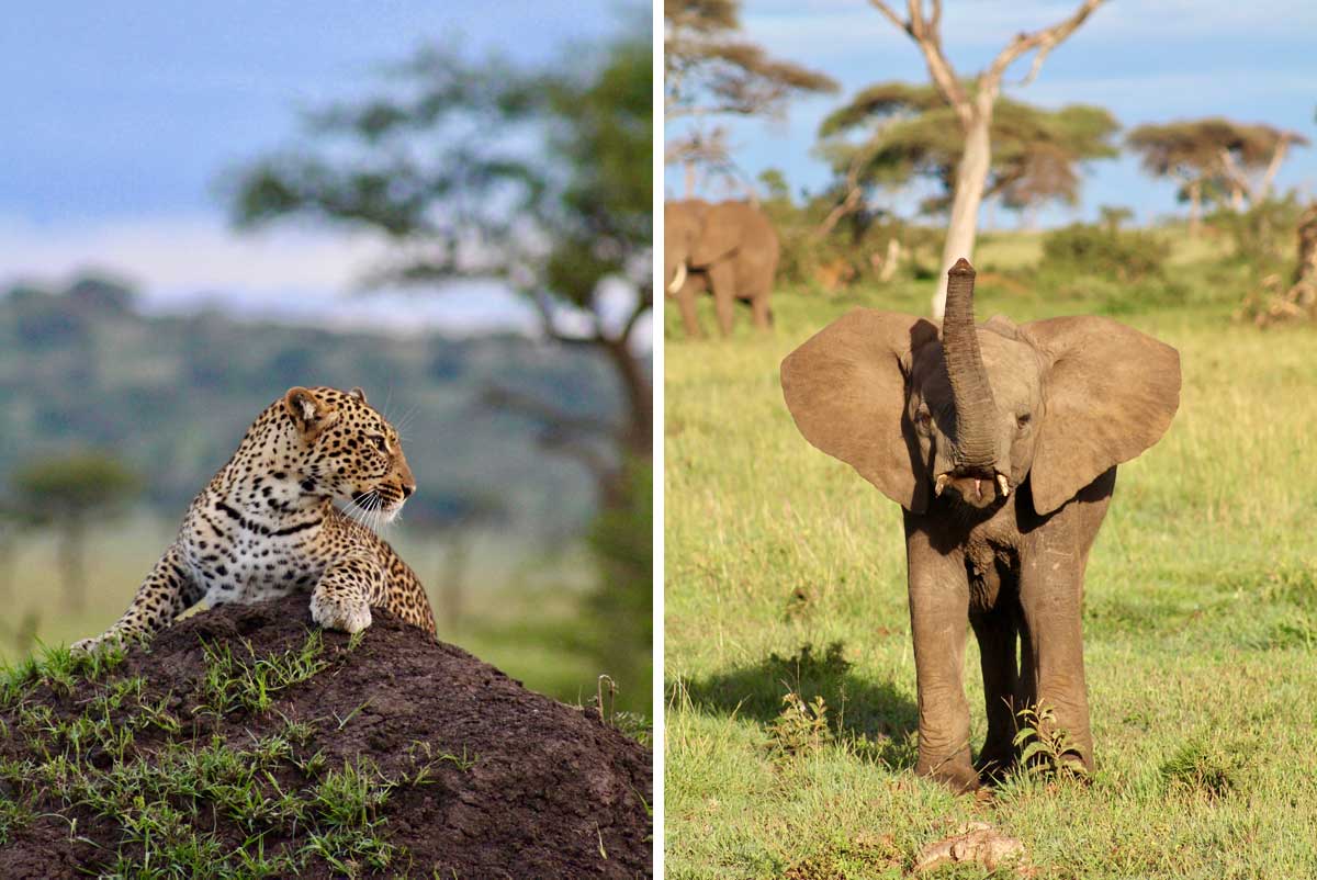 singita private concession 1200x802