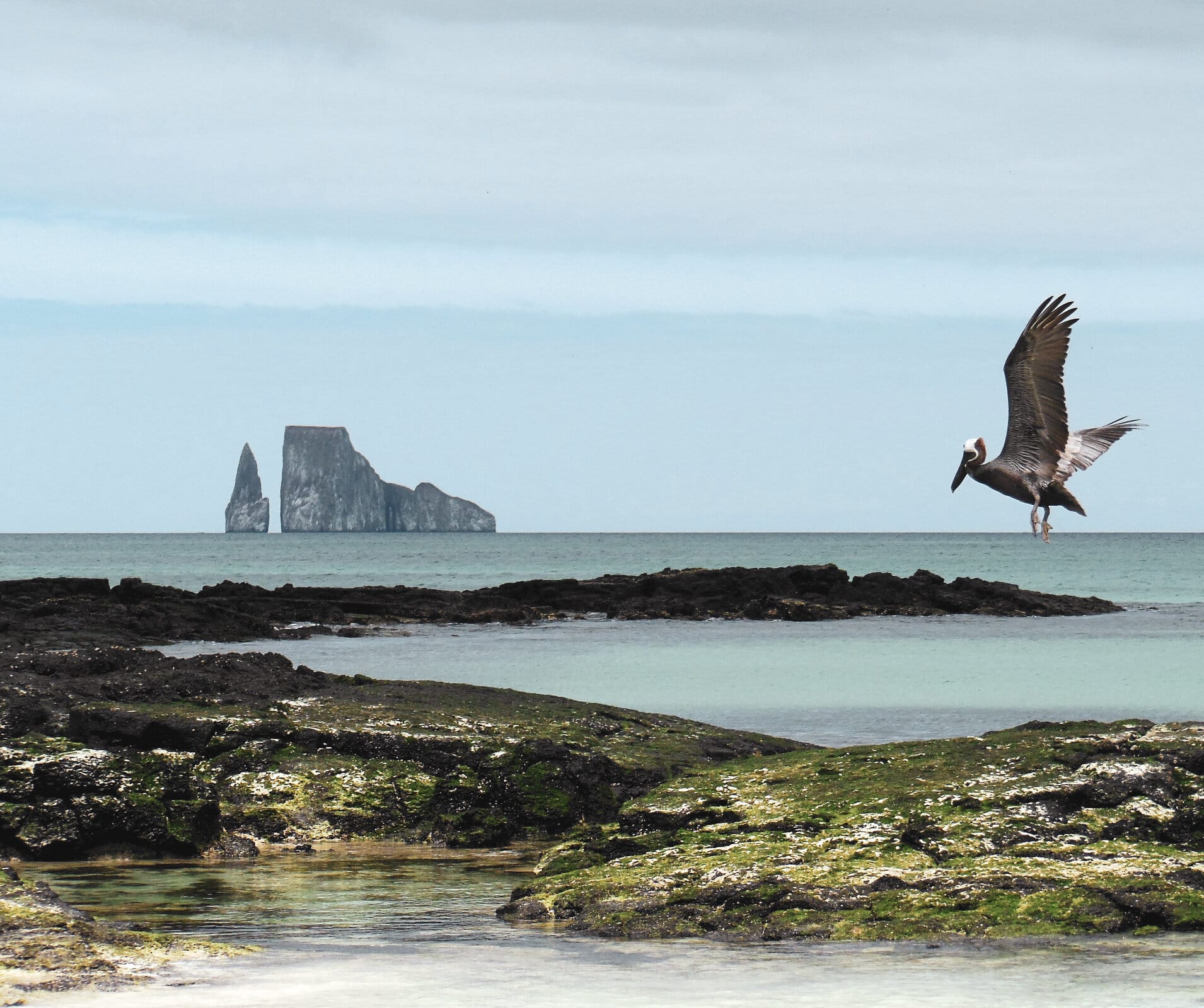 Galápagos: Exploring the Enchanted Islands hero image