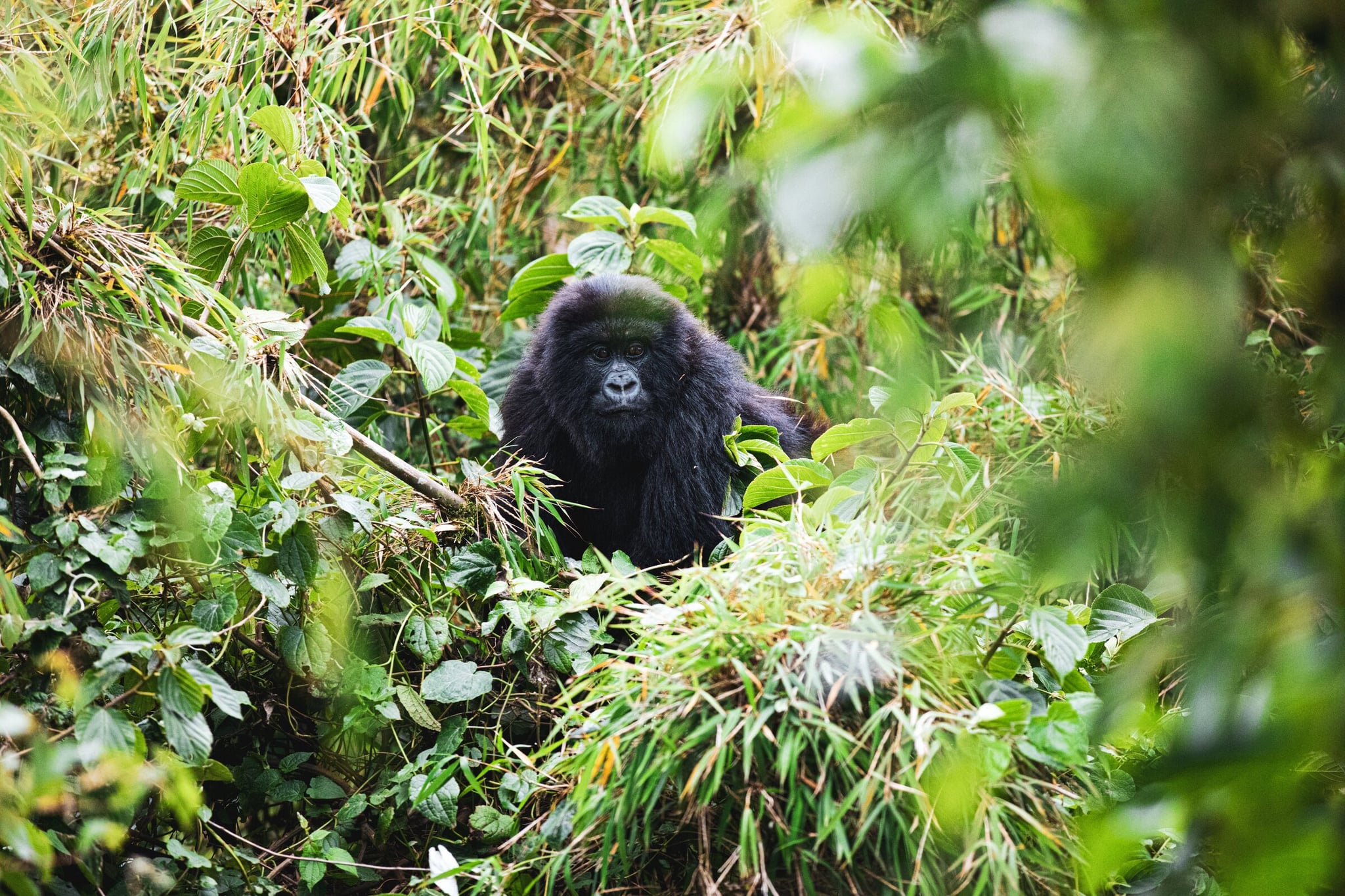 Rwanda travel deeper