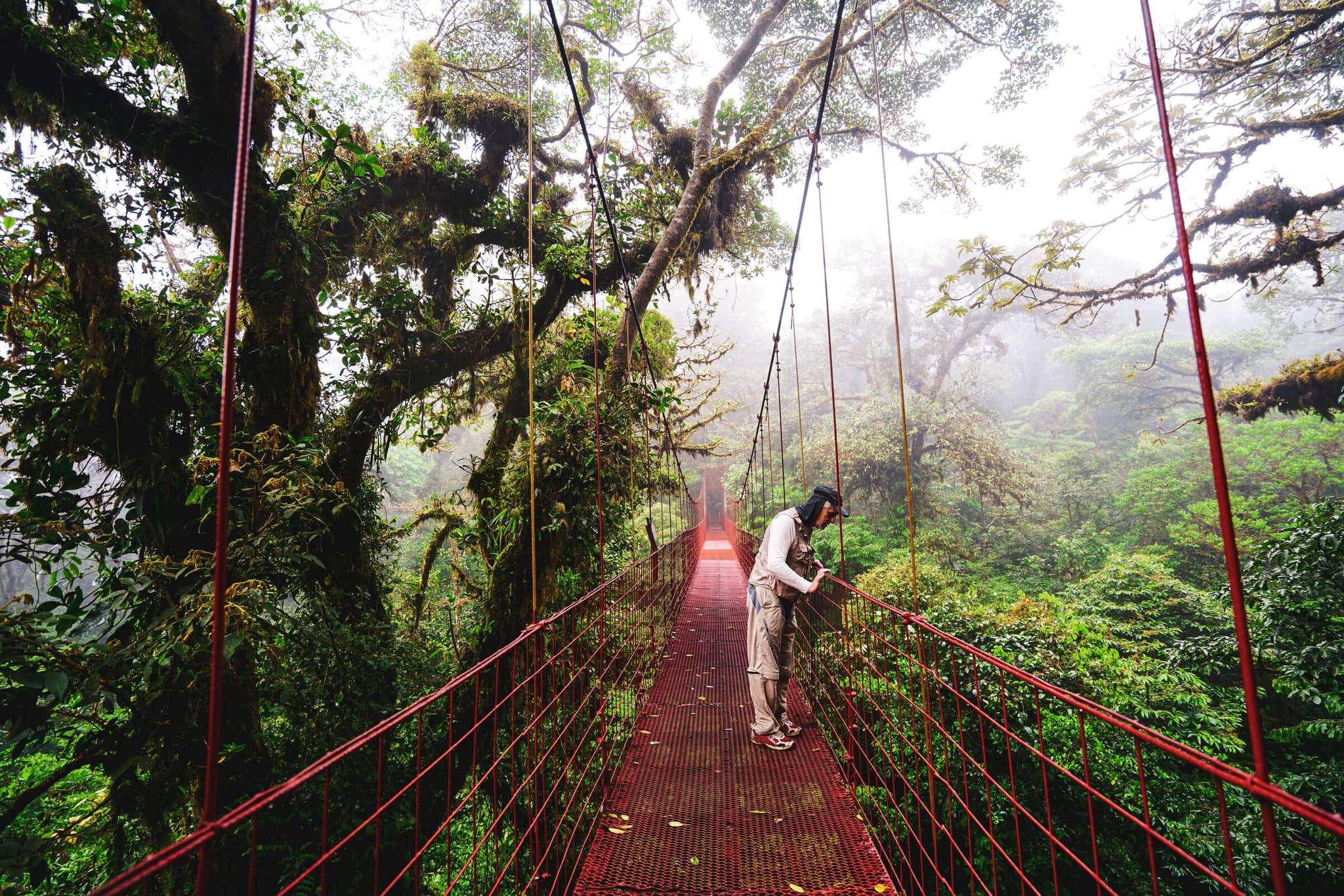 Costa Rica Discovery gallery 01 GalleryHero Monteverde CostaRica GettyImages 817301450 DavorLovincic