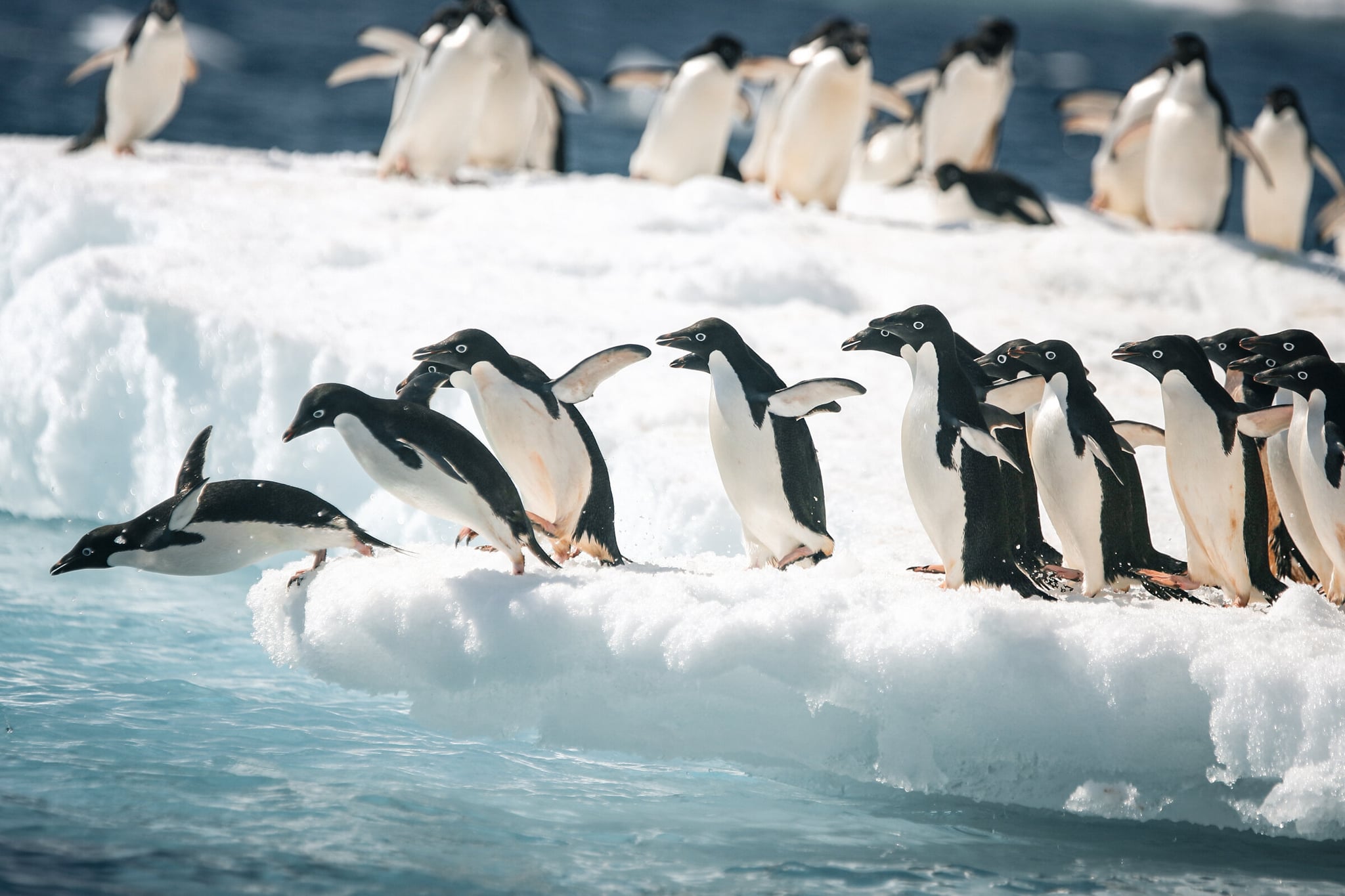 Antarctica Adventures gallery 01 Hero 2 Antarctica AdobeStock 204771349