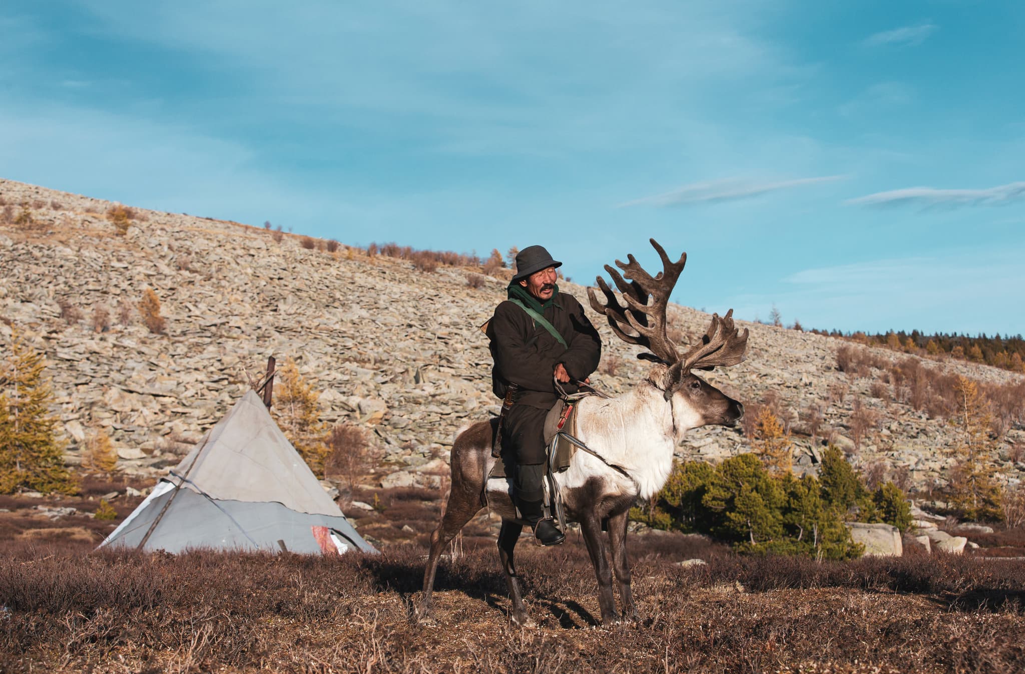 Nomadic reindeer herder riding his reindeer
