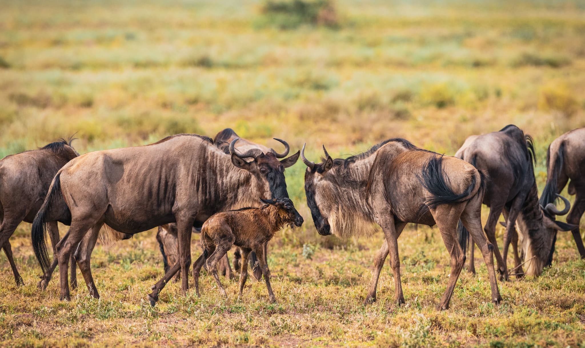 Tanzania best time to visit