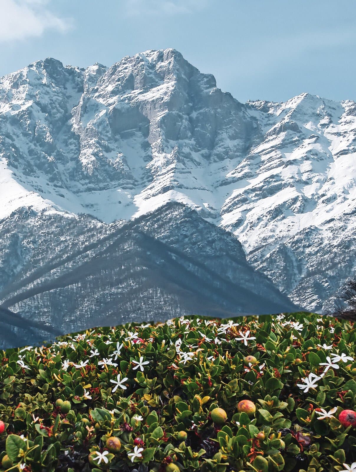 Caucasus Train Tours & Travel best time to visit