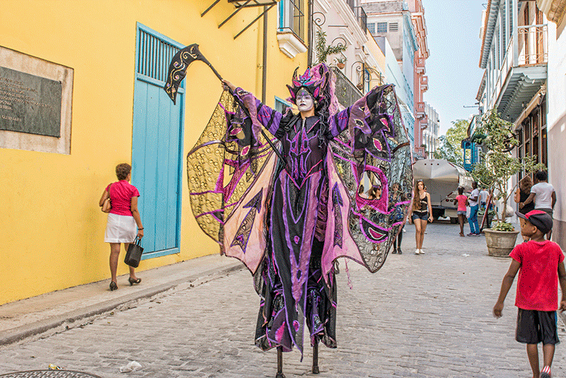 DanitaDelimont RM CA11 BBA0788 800x535 1