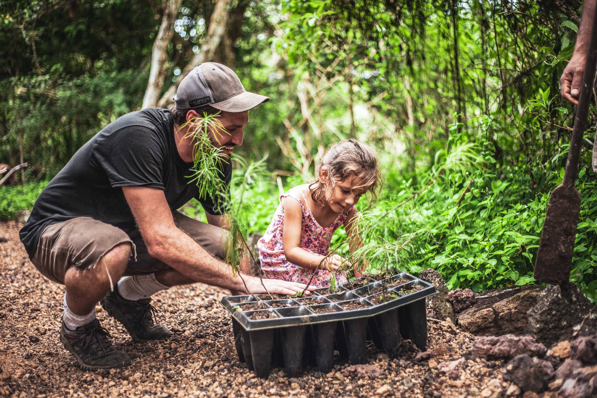 Father and child planting a tree at Galapagos Safari camp
