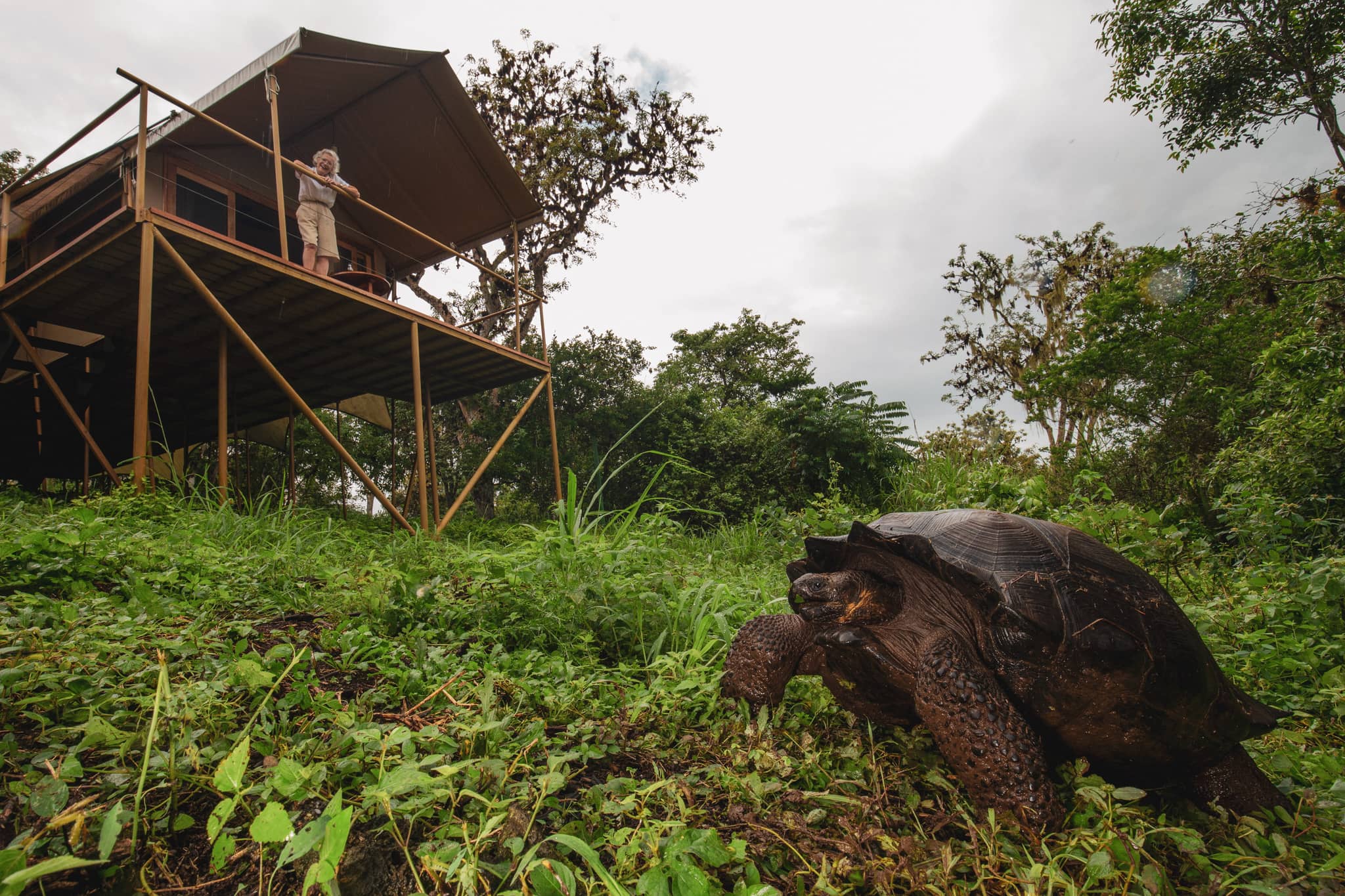 Tortoise at Galapagos Safari Camp