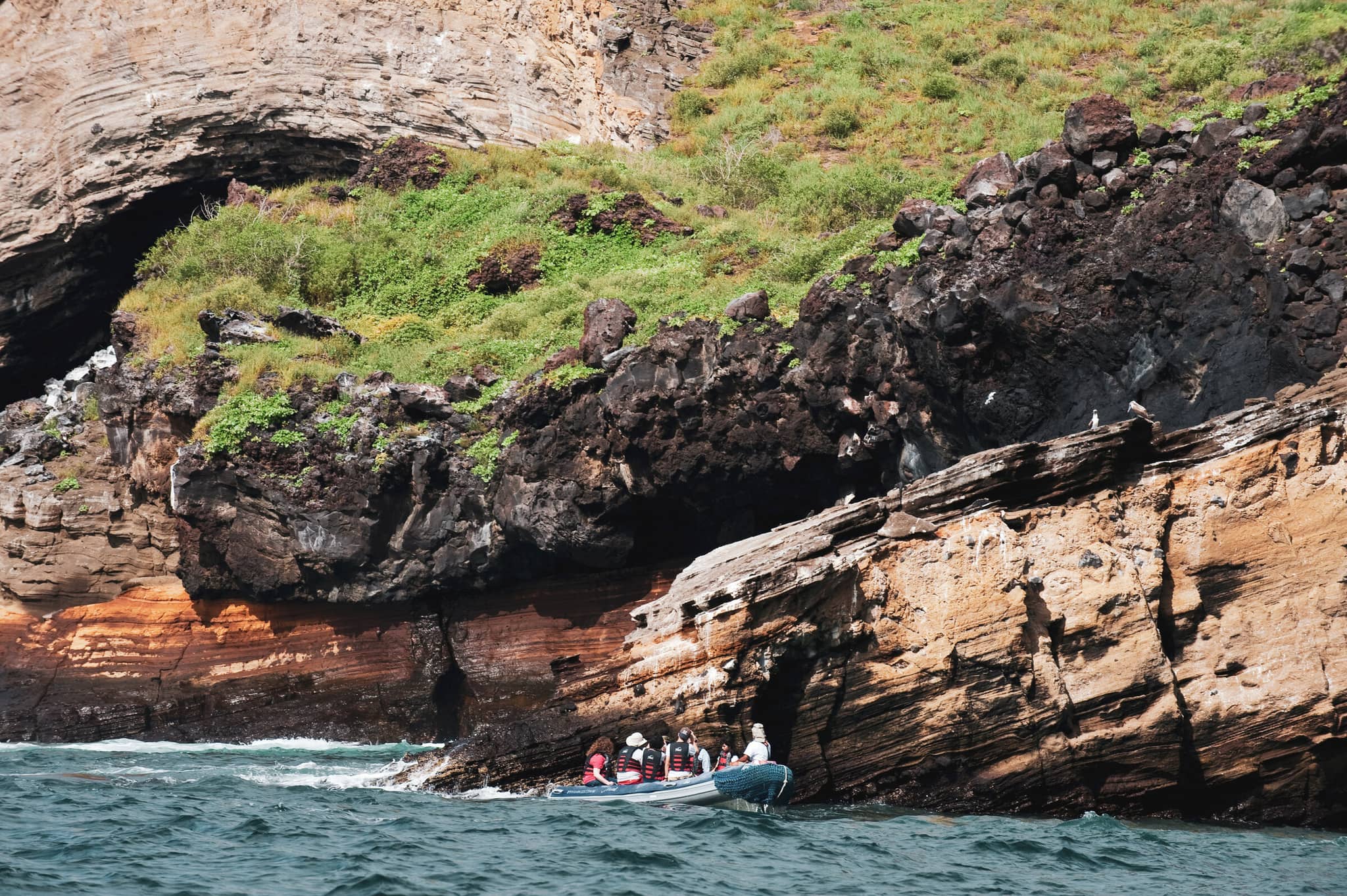 Galápagos: Exploring the Enchanted Islands gallery Gallery2 DanitaDelimont RM SA07 MDE0033 SuperRes