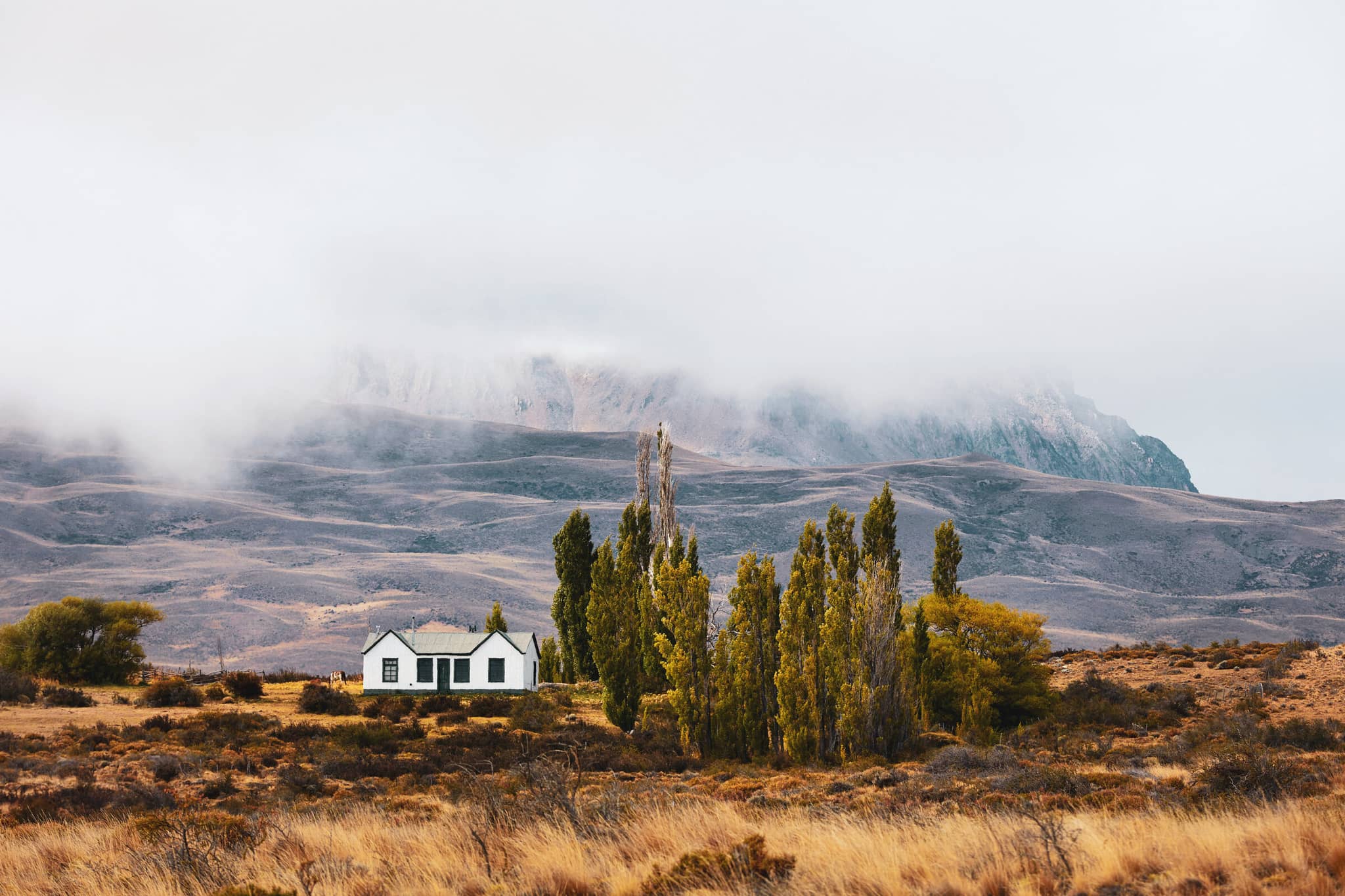 Journey through Wild Patagonia gallery Gallery2 ElCalafateHouse Argentina DanitaDelimont RM SA01 JAN0716 SuperRes AWLImages