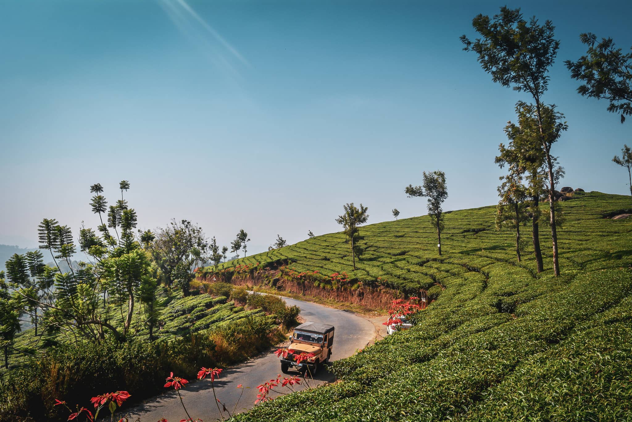 Into the Heart of South India gallery Gallery3 Munnar Jeep Excursion AdobeStock 294871694