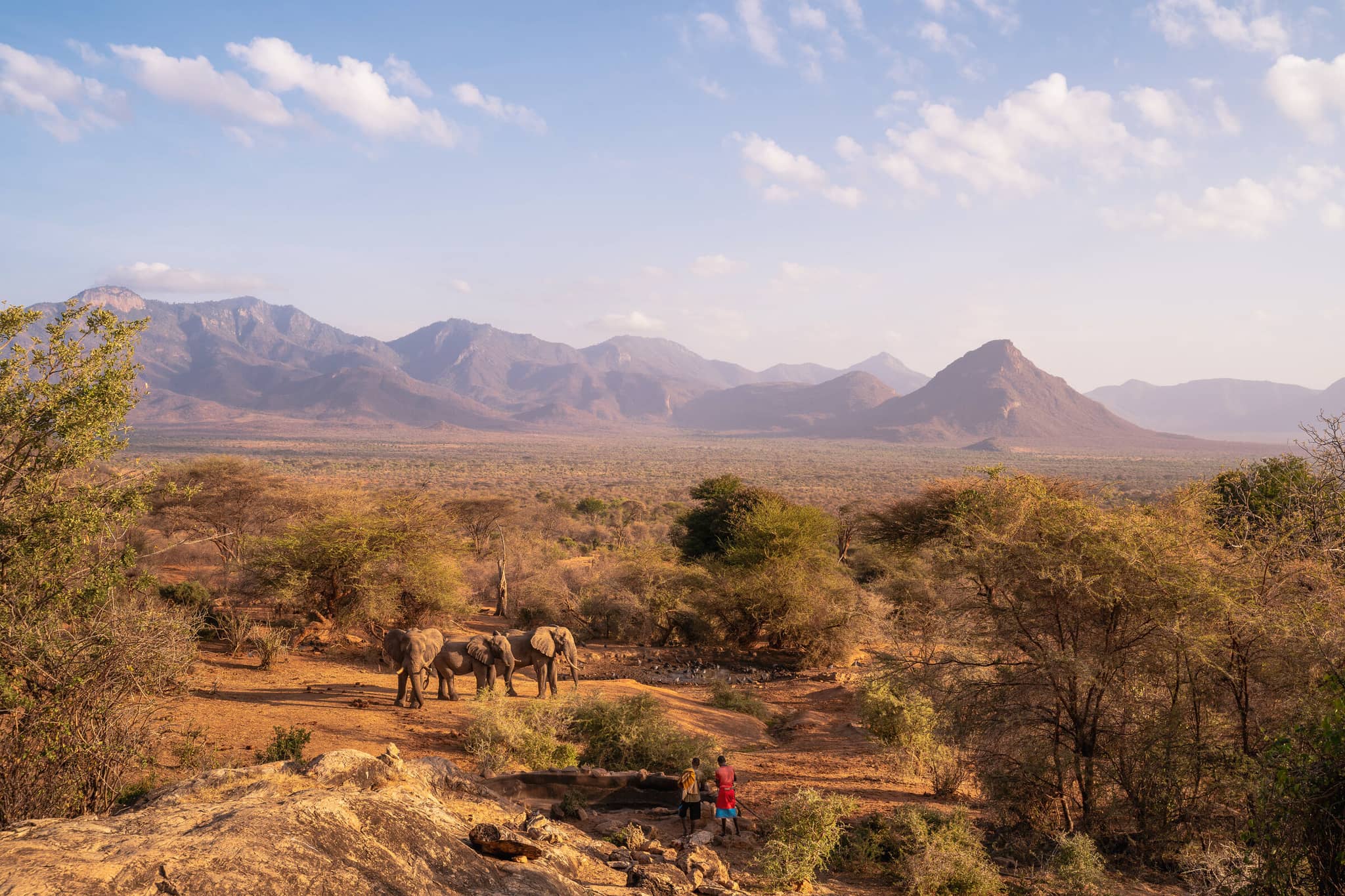 Kenya: Essence of a Continent gallery Gallery Kenya Sarara Camp Watering Hole Bush and Beyond