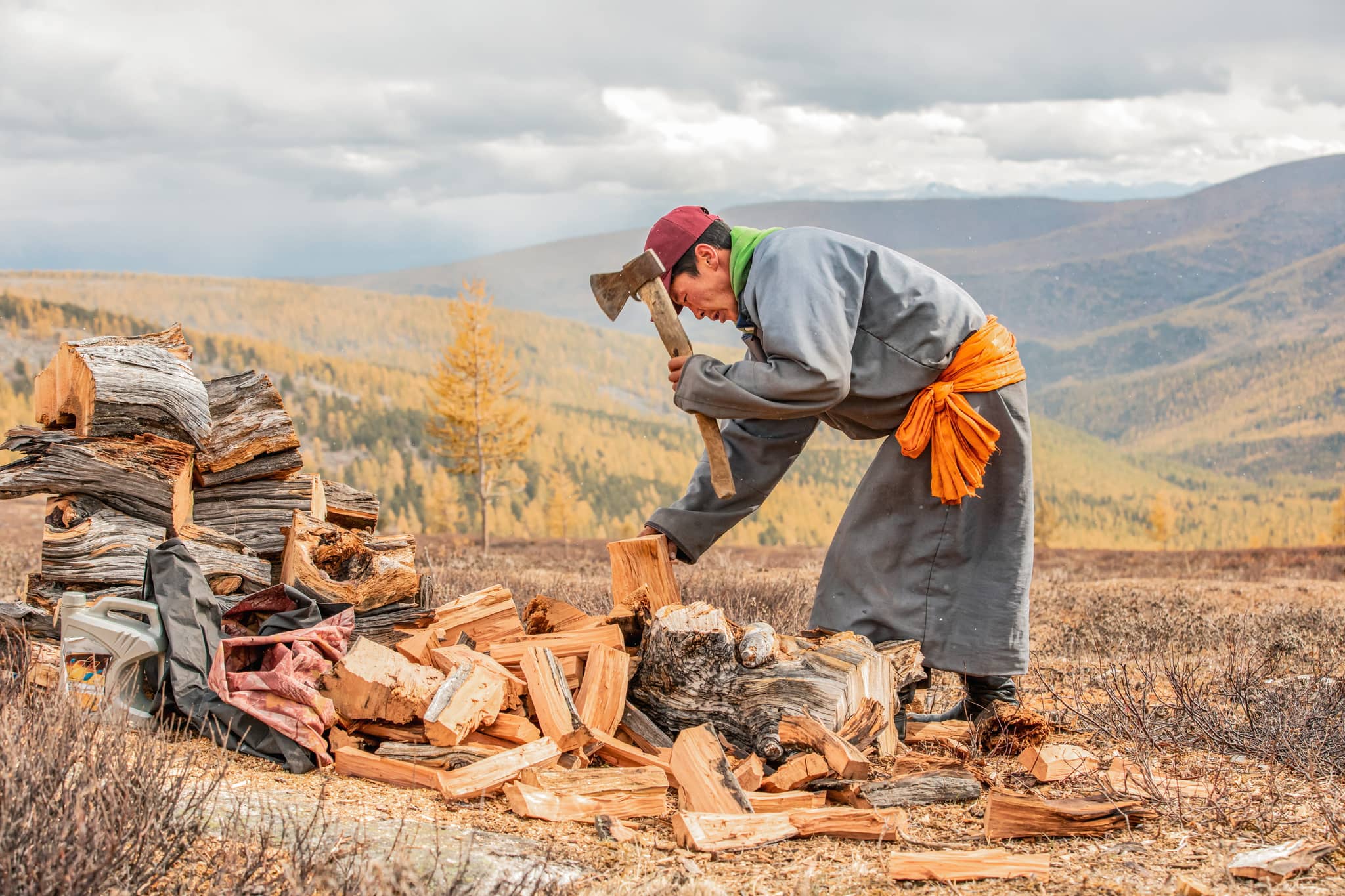 Young Mongolian man axing firewood