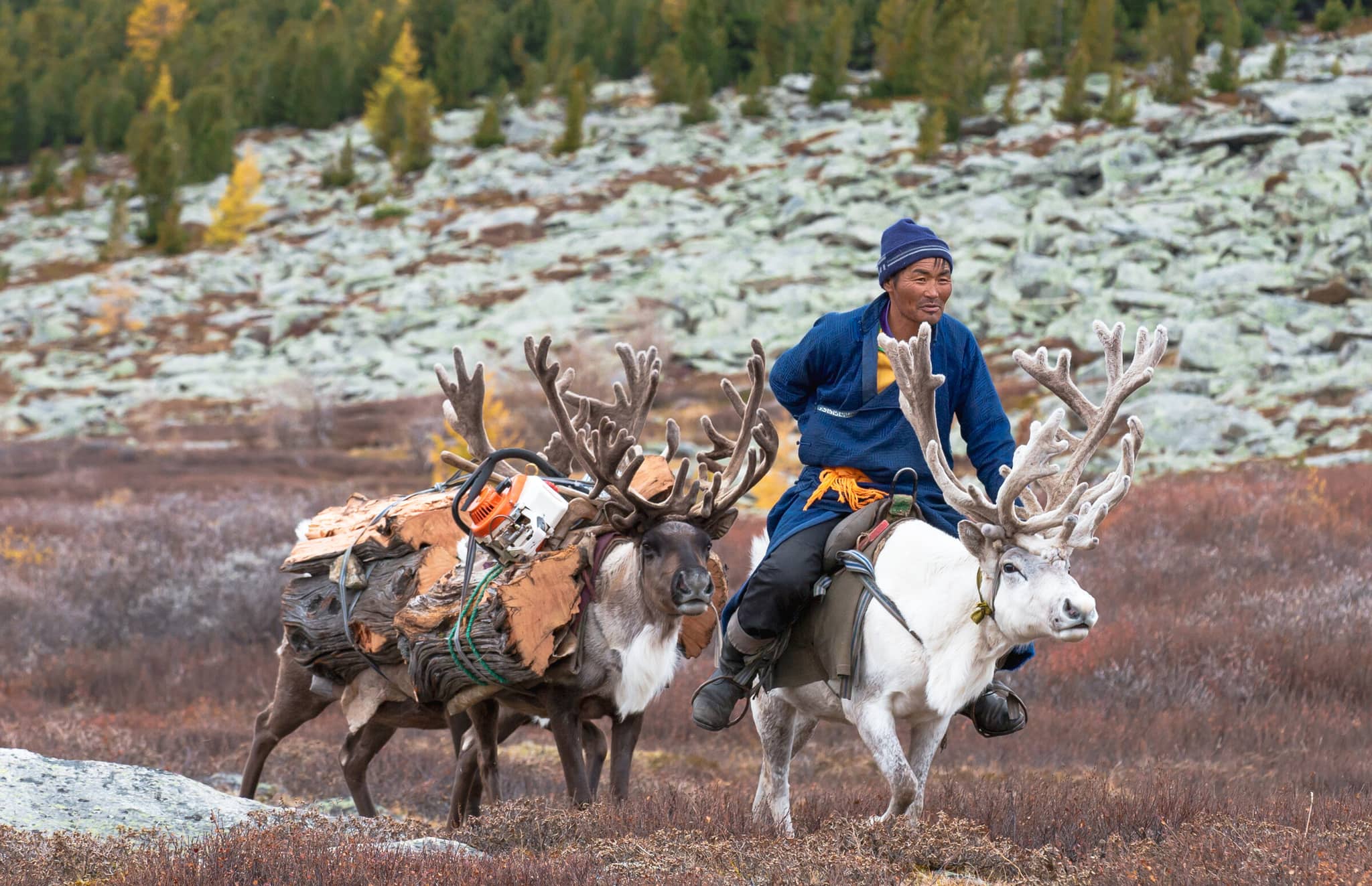 Wilds of Mongolia gallery Gallery Mongolia Tsaatan reindeer herder GettyImages 851498452