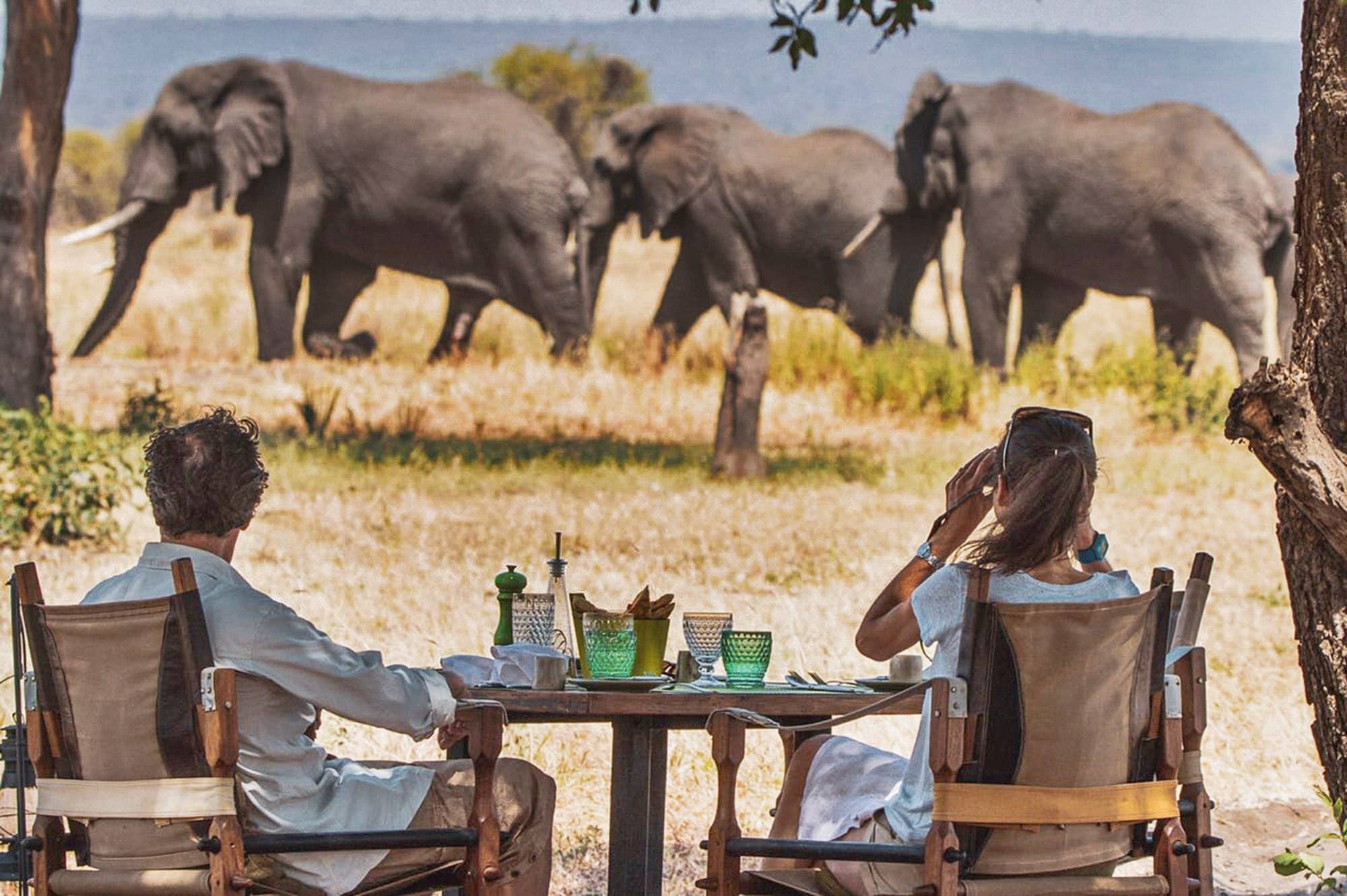 Nature of Tanzania gallery Gallery Tanzania Elephants at camp Chem Chem Safaris
