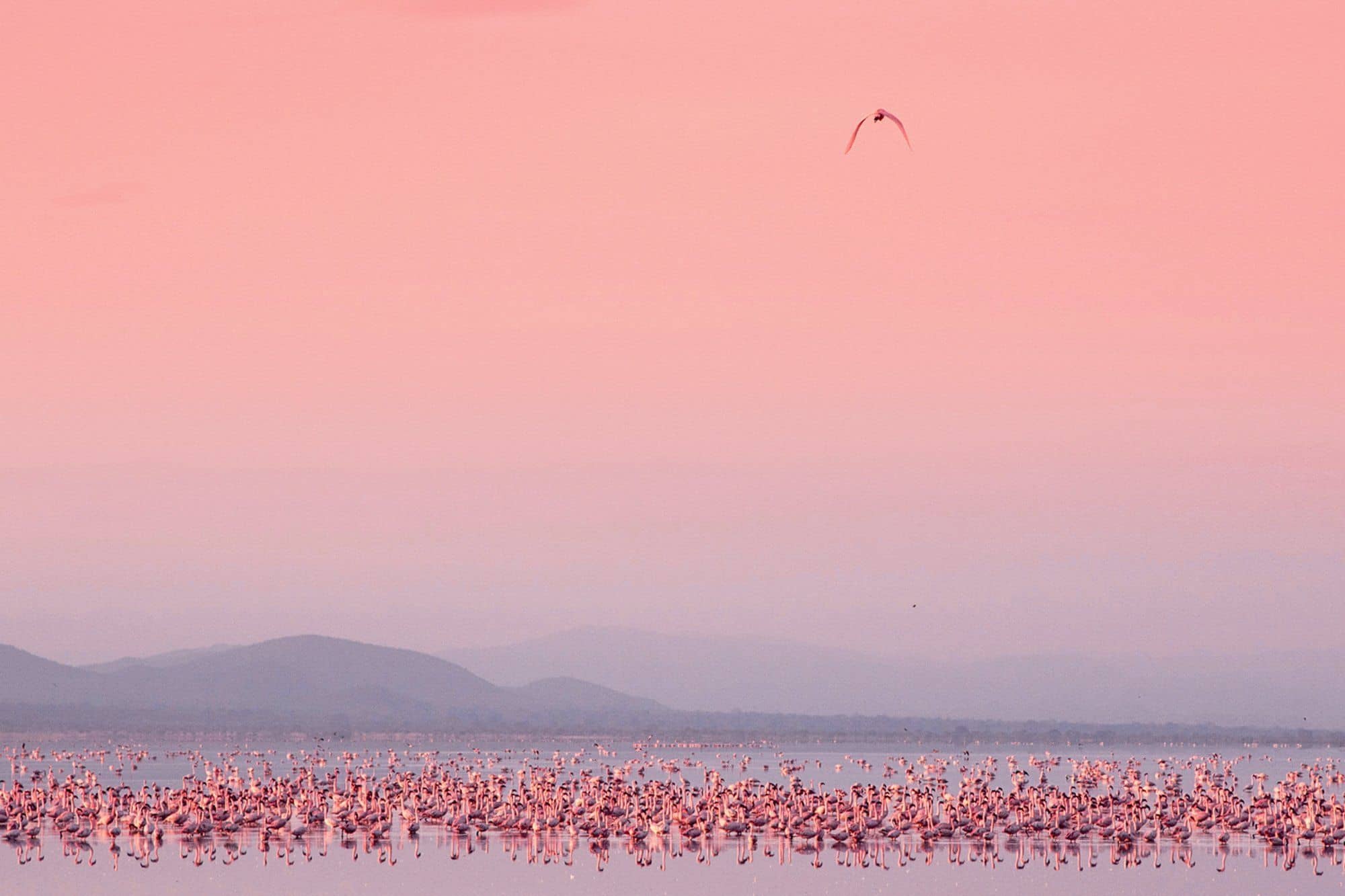 Nature of Tanzania gallery Gallery Tanzania Lake Manyara Chem Chem Safaris