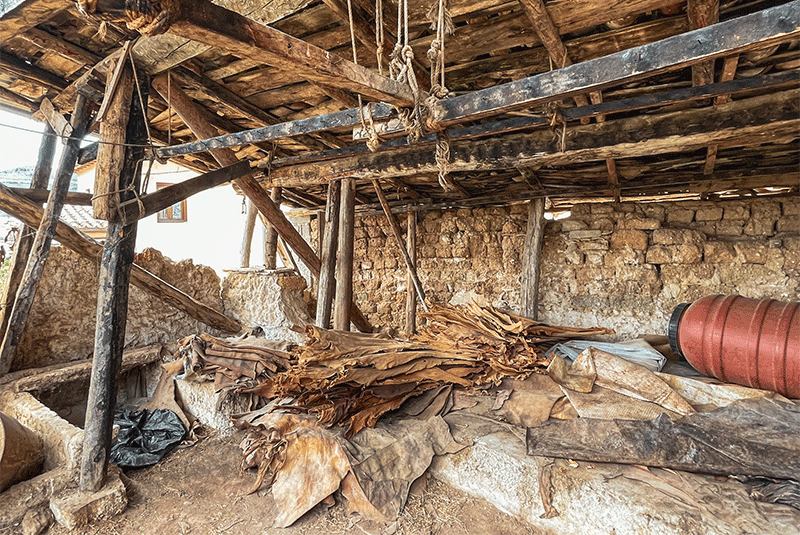 Greece Amfissa IMG 0323 Don George 800x535