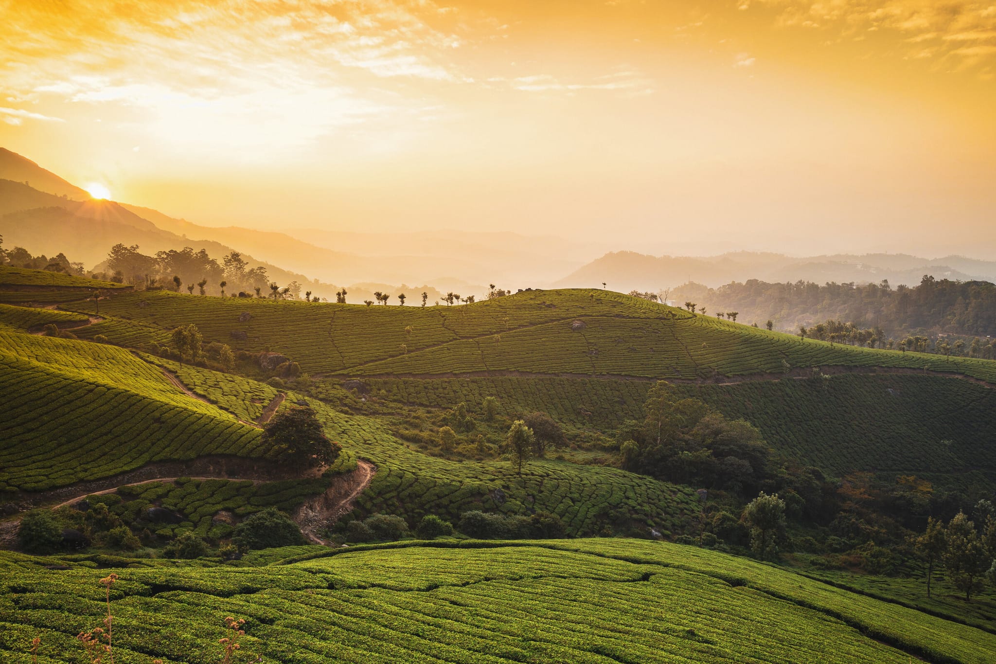 Into the Heart of South India hero image