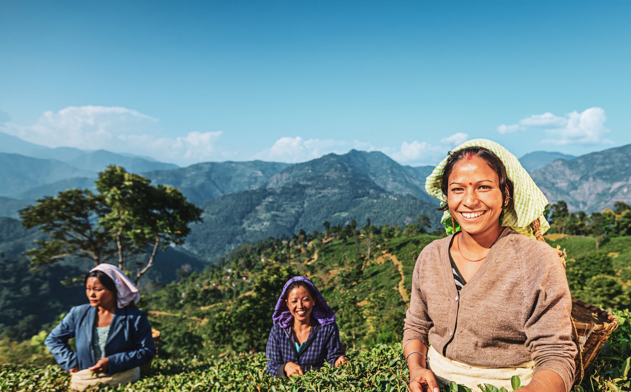 Darjeeling Mail hero image