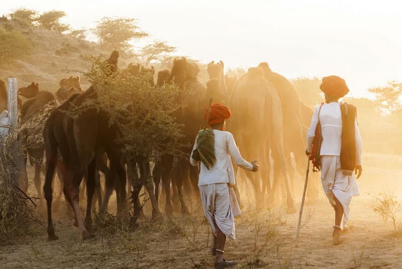 India DanitaDelimont RM AS10 PAD0127 edit