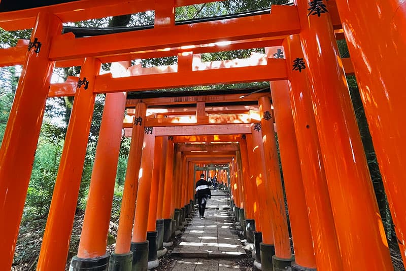 Japan Fushimi Inari Taisha Shrine Don George 800x535 2