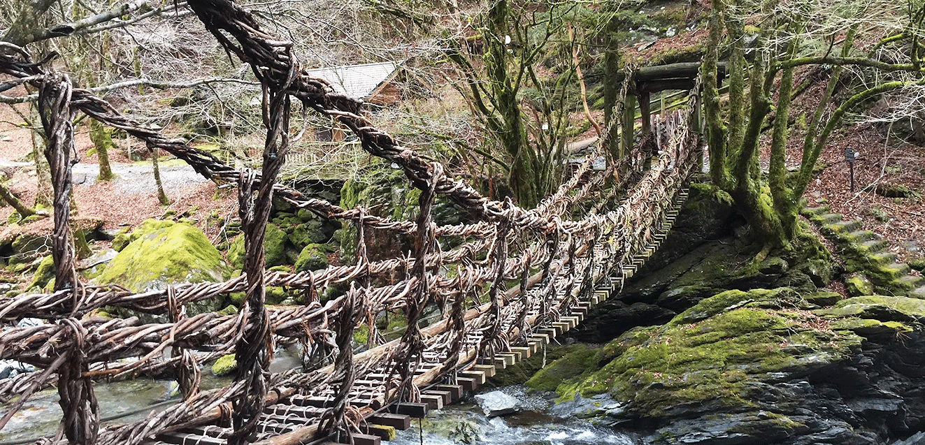 Japan Iya Valley Vine Bridge Don George IMG 7325 1323x637 1