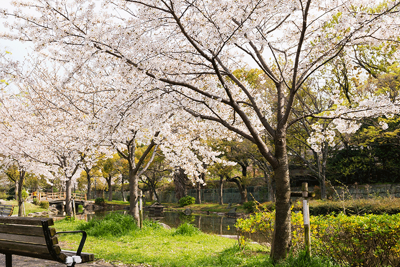 Japan Osaka riverside benches GettyImages 1276295140 800x535 1