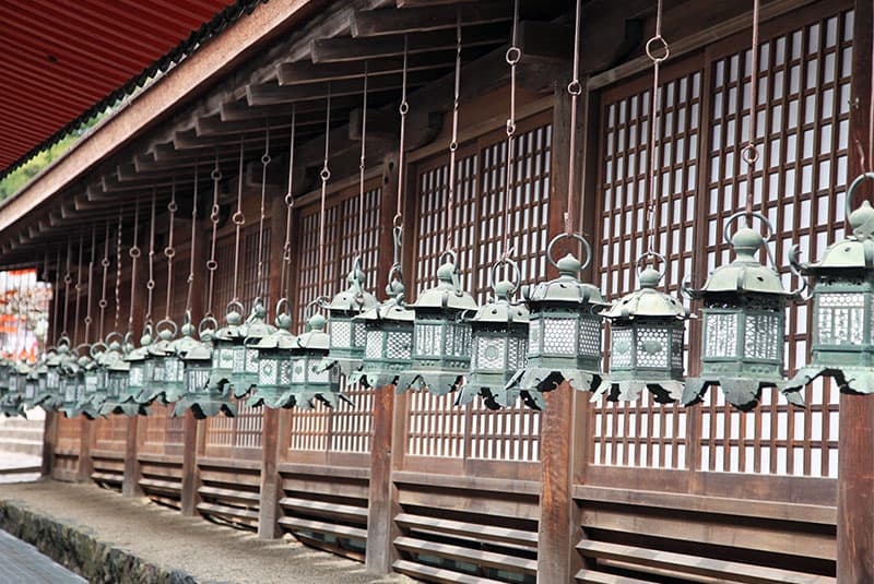Japan Shikoku Nara Kasuga Shrine 2014 Amanda McKee 158 800x535 1
