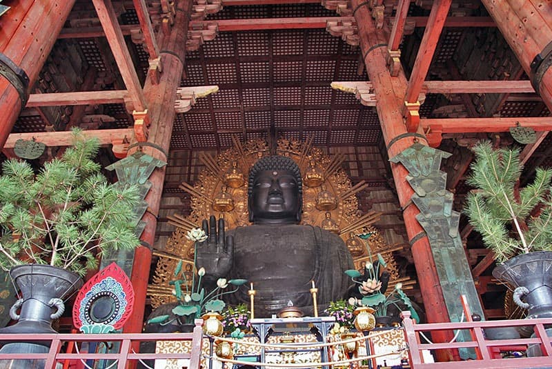 Japan Shikoku Todaj ji Temple 2014 Amanda McKee 131 800x535 1