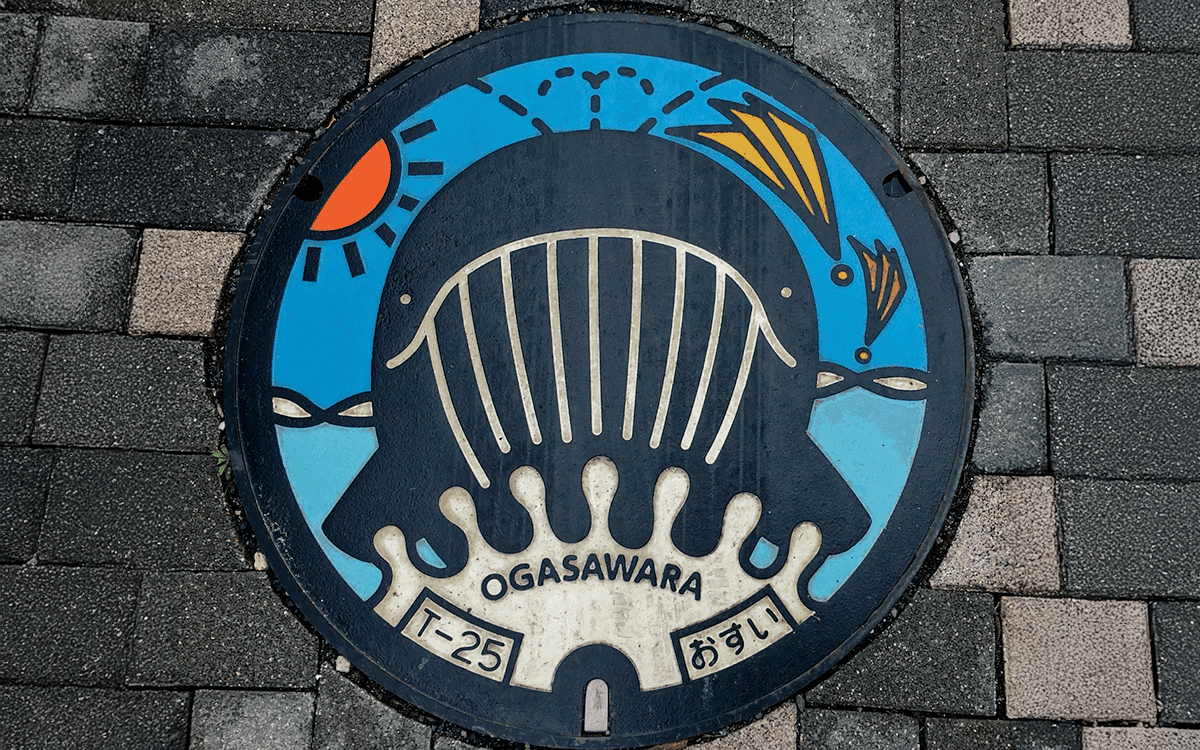 Manhole cover in Japan