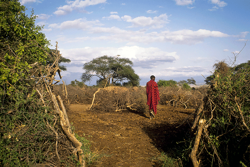 Kenya Masaai Village DanitaDelimont RM AF21 AJN0306 800x535