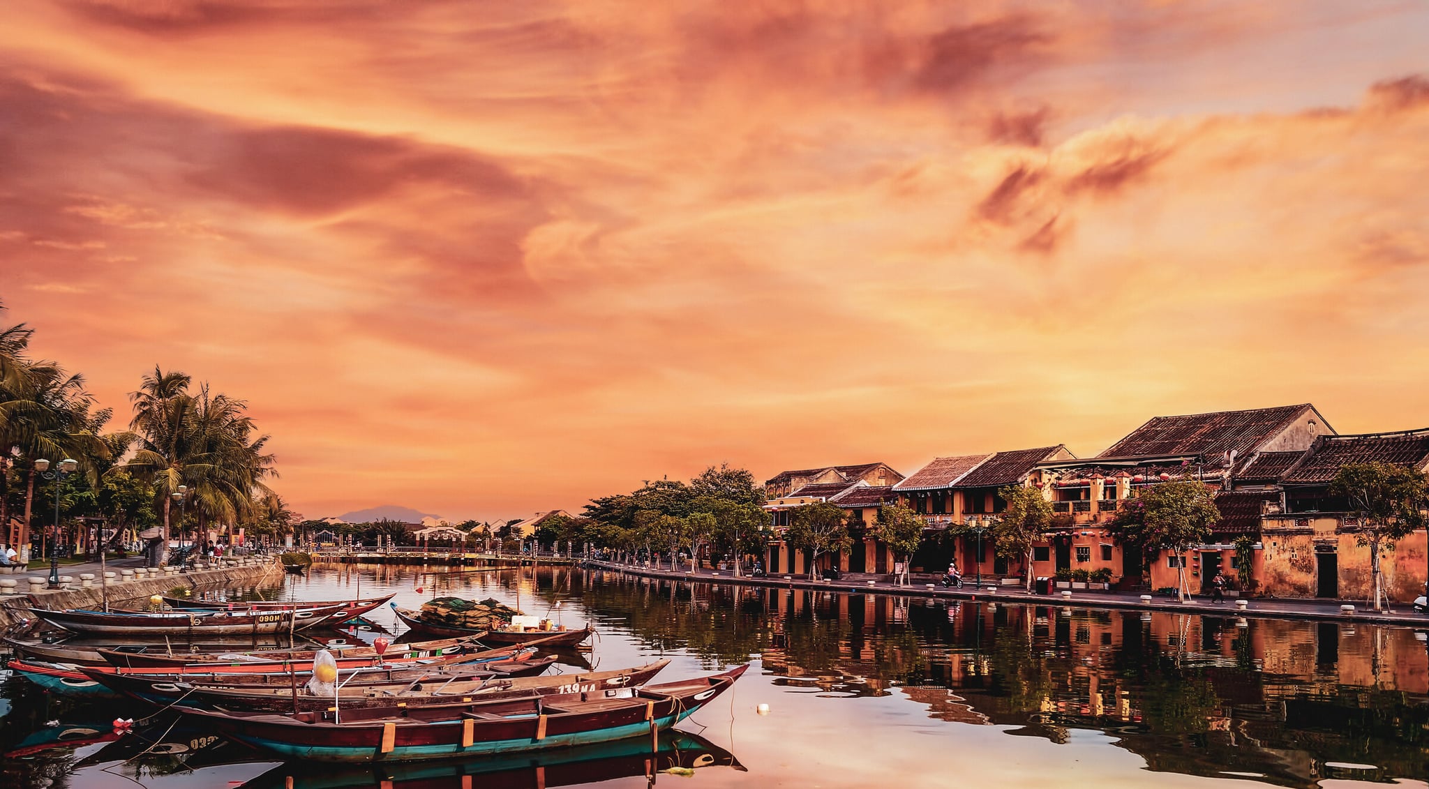 Vietnam Revealed hero image