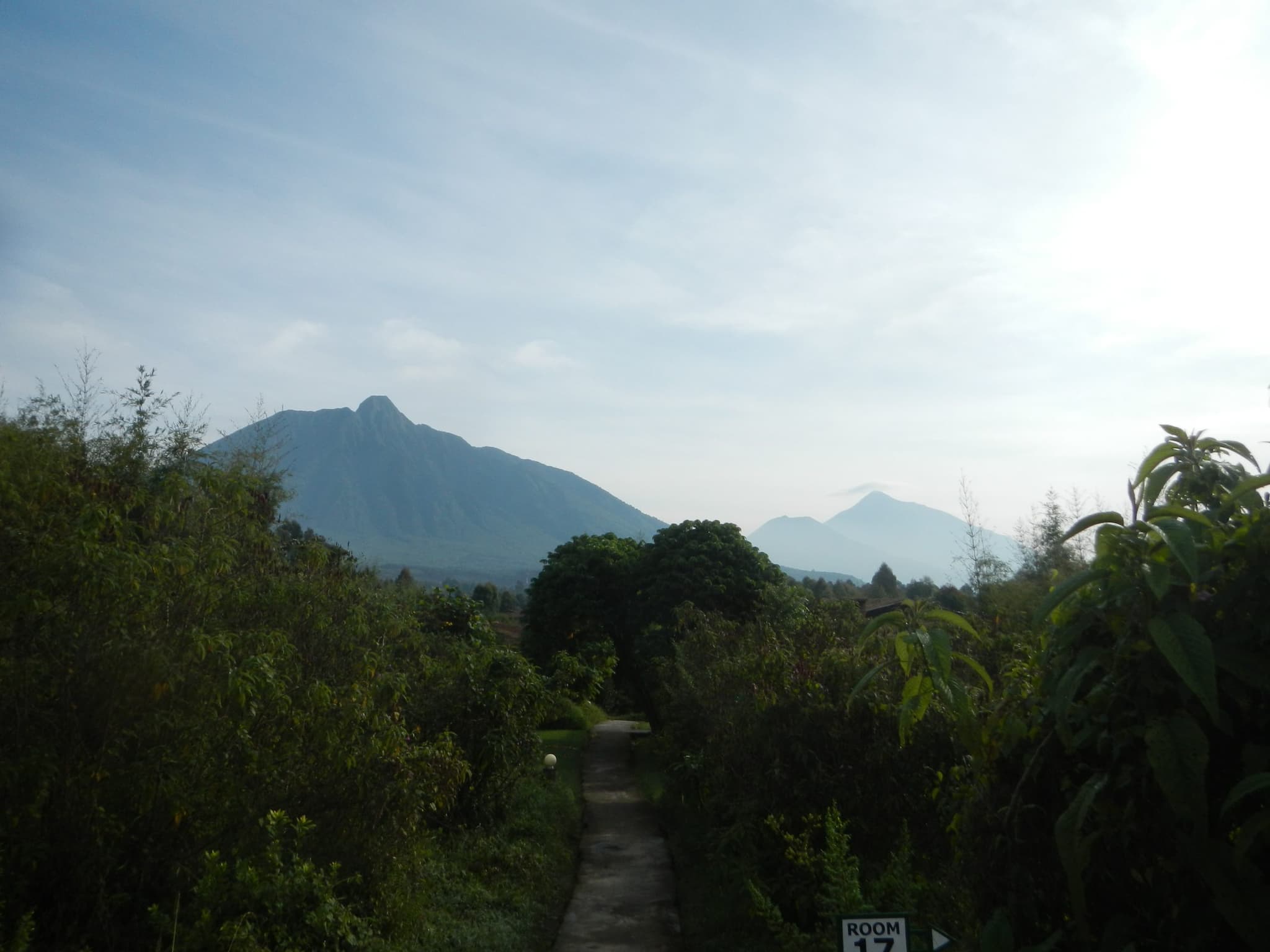 Volcanoes of the Virunga Mountains scaled