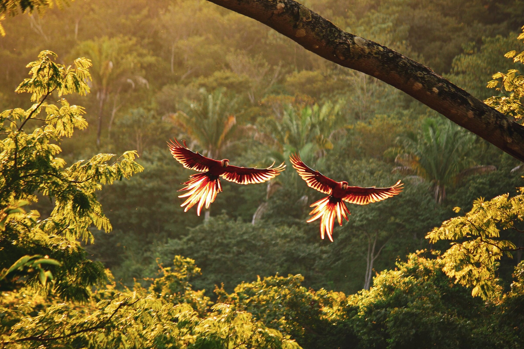 Costa Rica travel deeper