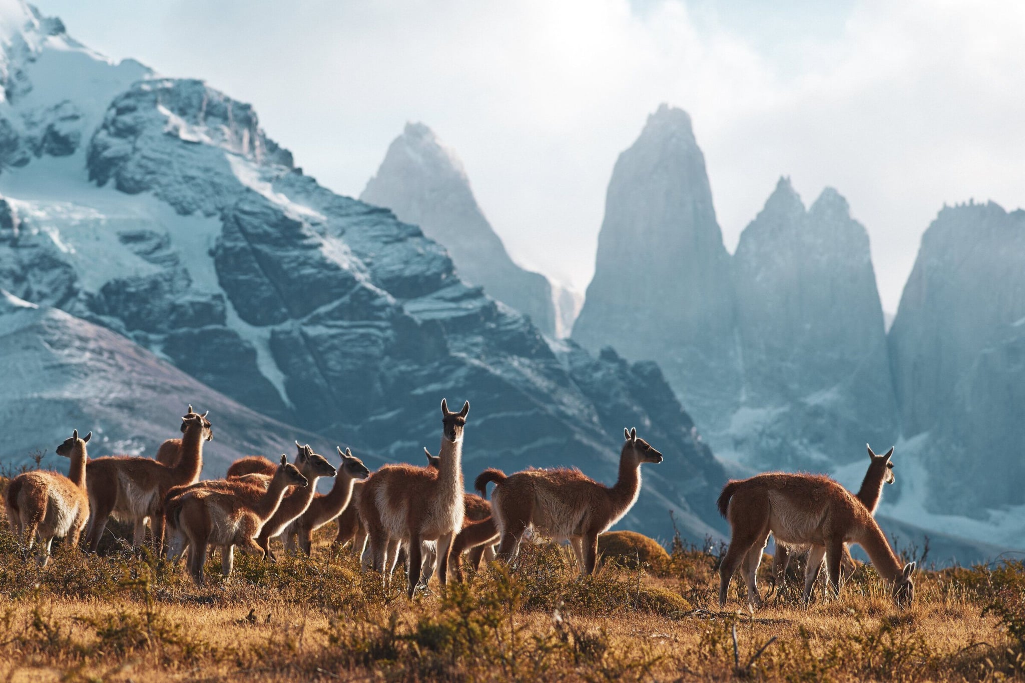 Patagonia travel deeper